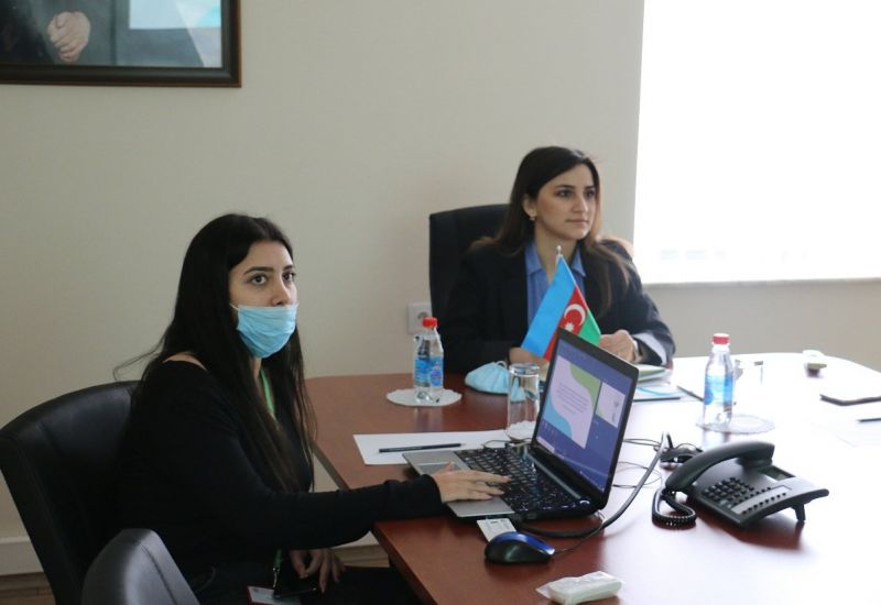 Leyla Nadirli, a Reform Volunteer at the Center for Analysis Economic Reforms  and Communication, gave a presentation on "Energy Efficiency" to her volunteer colleagues.